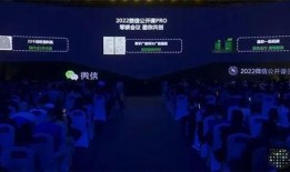 最新爆料雷电将军视频播放,神秘力量觉醒，战斗风格颠覆想象