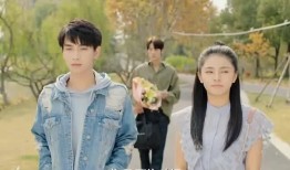 甜蜜的冤家在线观看,在线观看，浪漫纠葛甜蜜来袭